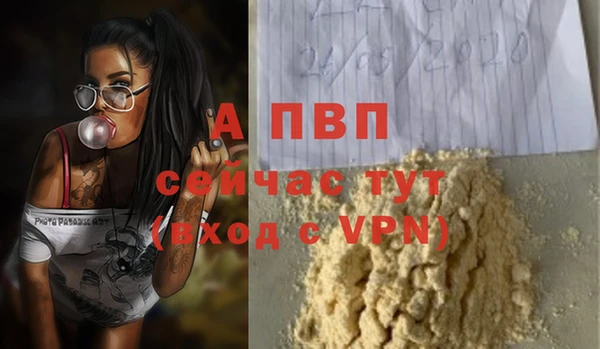 спиды Аркадак
