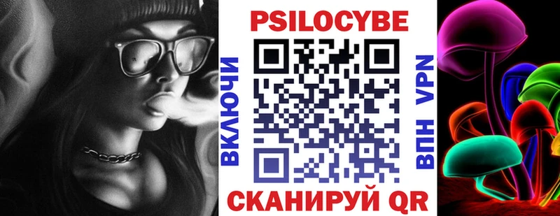 кракен ссылки Барабинск Псилоцибиновые грибы мицелий