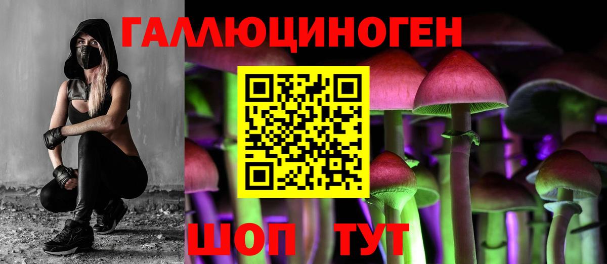 Барабинск  Псилоцибиновые грибы GOLDEN TEACHER  Вход с VPN 